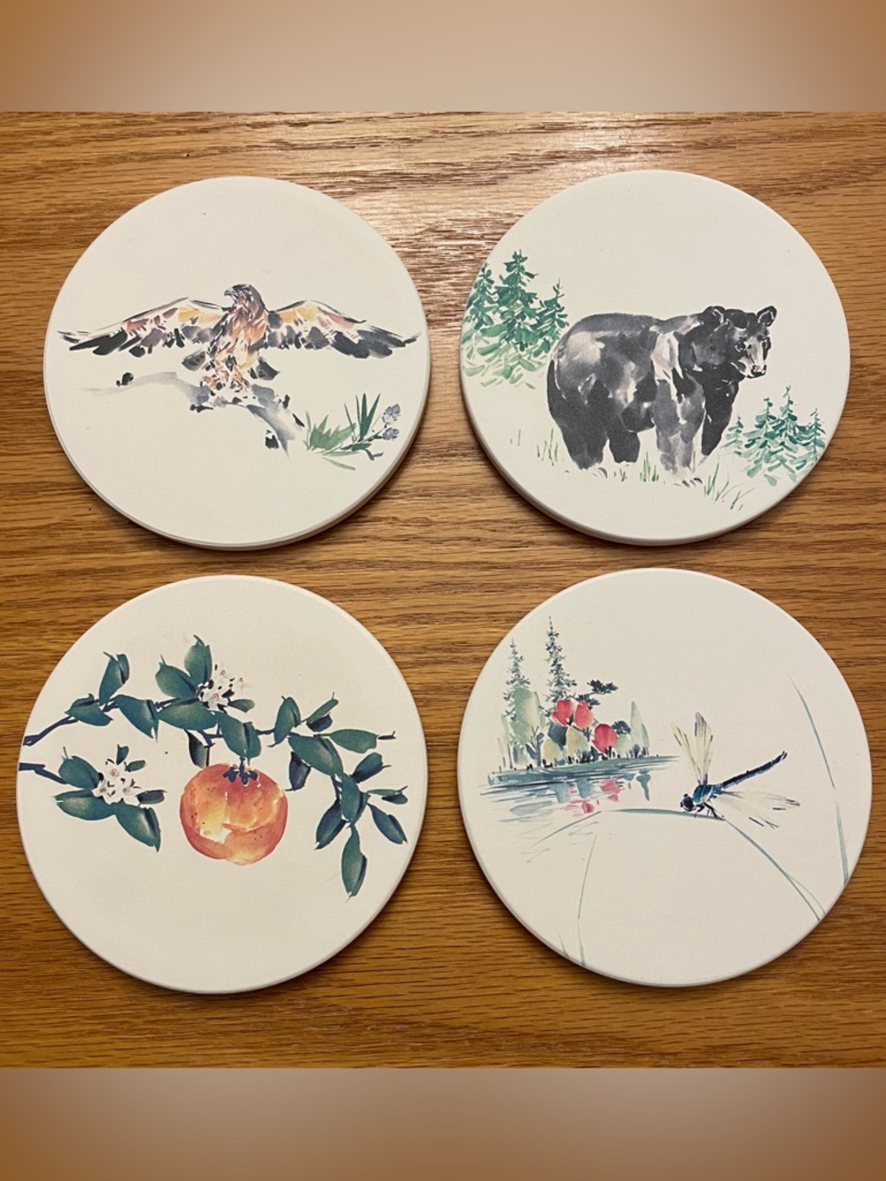 CoasterStone Set of 4 Coasters Bear Hawk Dragonfly Fruit Woodland Nature Outdoor